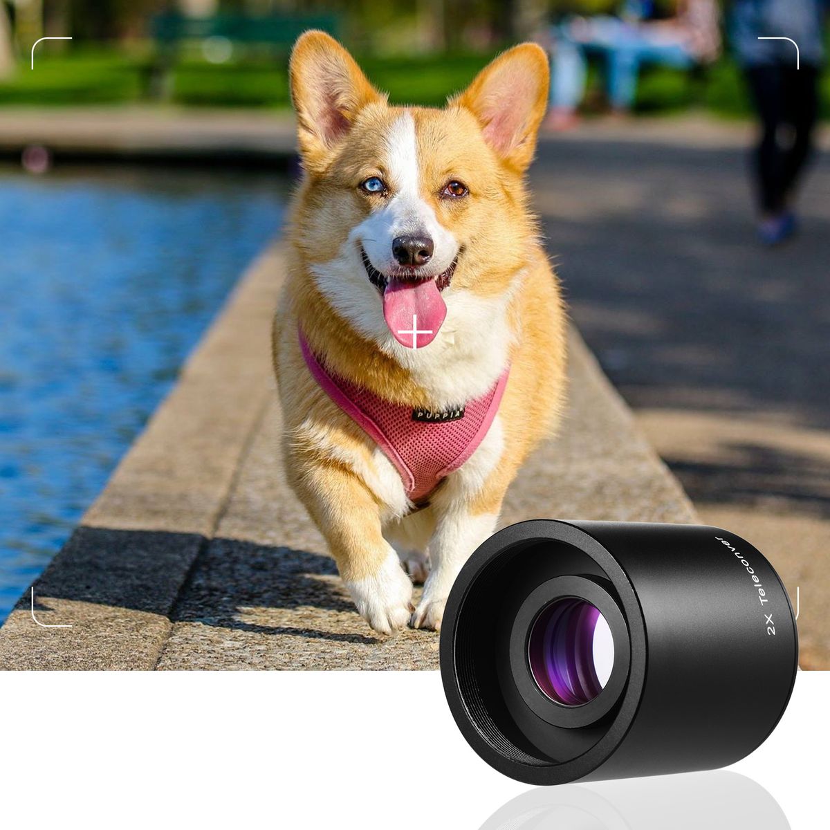 Andoer 2X Teleconverter Lens Manual Focus Converter Lens