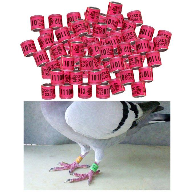 100PCS 8mm Bird Dove Leg Bands 2022 Pink