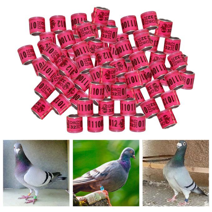 100PCS 8mm Bird Dove Leg Bands 2022 Pink