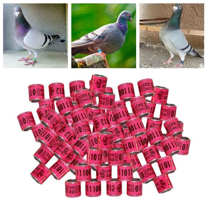 100PCS 8mm Bird Dove Leg Bands 2022 Pink