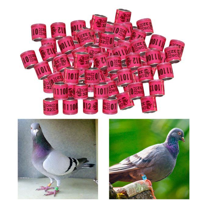 100PCS 8mm Bird Dove Leg Bands 2022 Pink