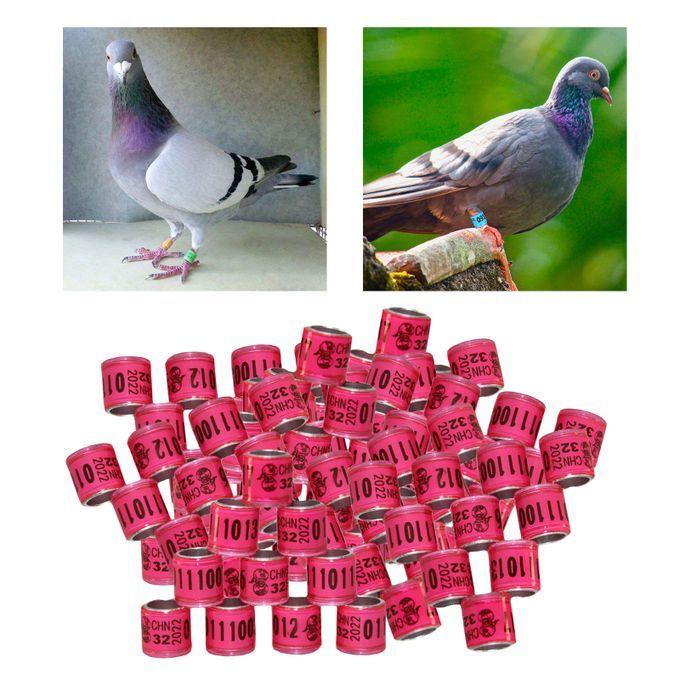 100PCS 8mm Bird Dove Leg Bands 2022 Pink
