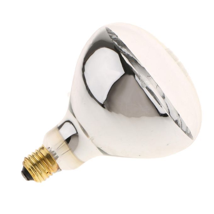 Reptile Heat Lamp  Infrared  Pig Sheep Breeding Heat