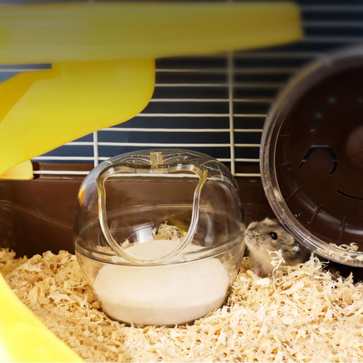 Hamster Bathroom Animal Bathroom House Cage S