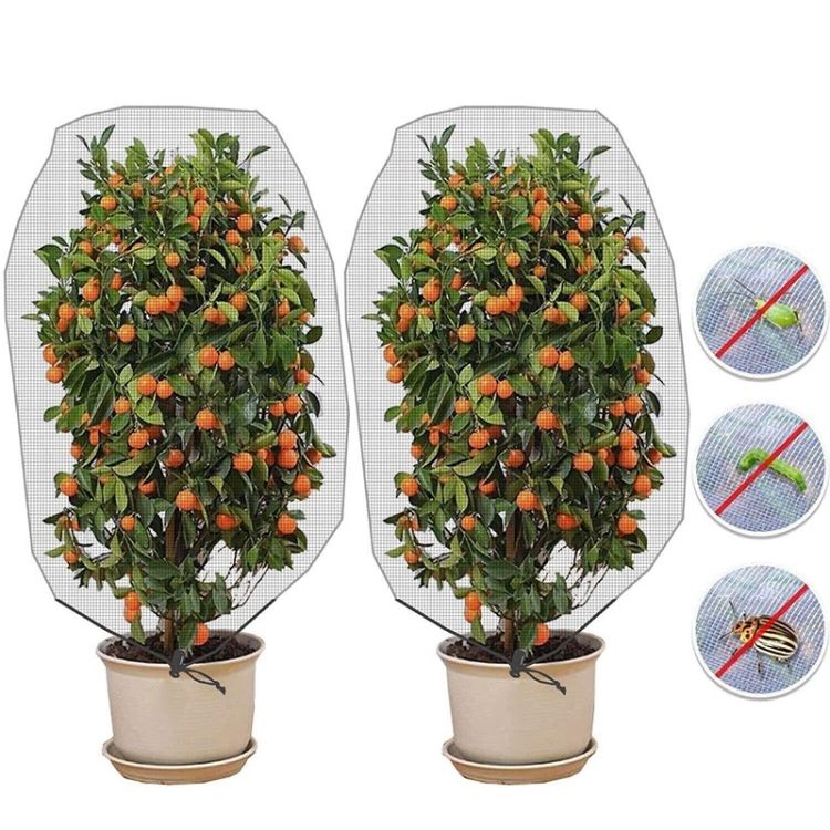 Insect Net, Specification: 1x1.4m