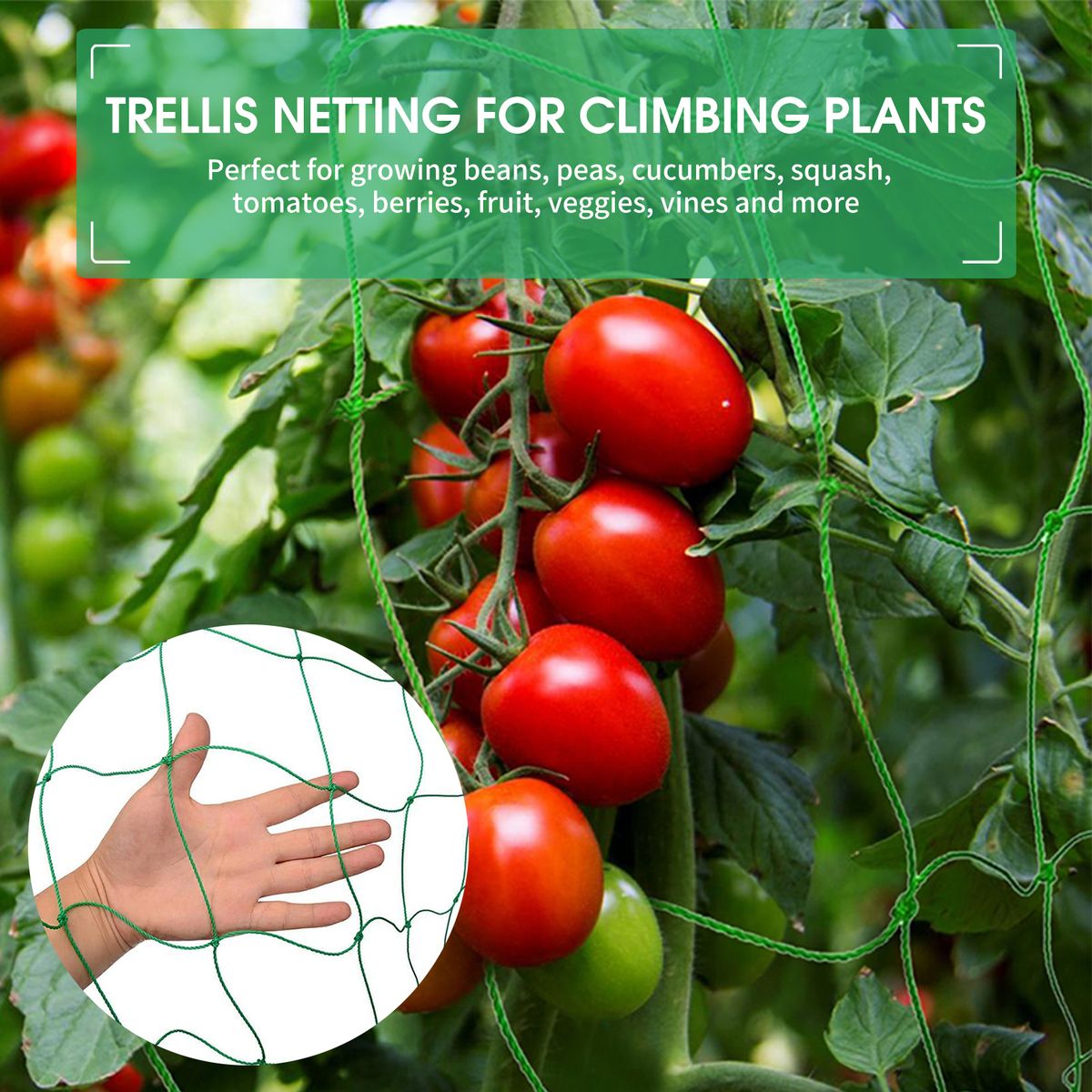 YEGBONG Trellis Netting For Climbing Plants 16 X 6 FT Garden