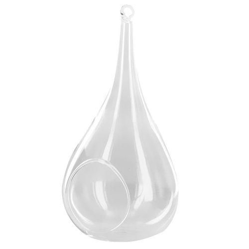 Clear Cone Glass Vase Slope , Plant Flower