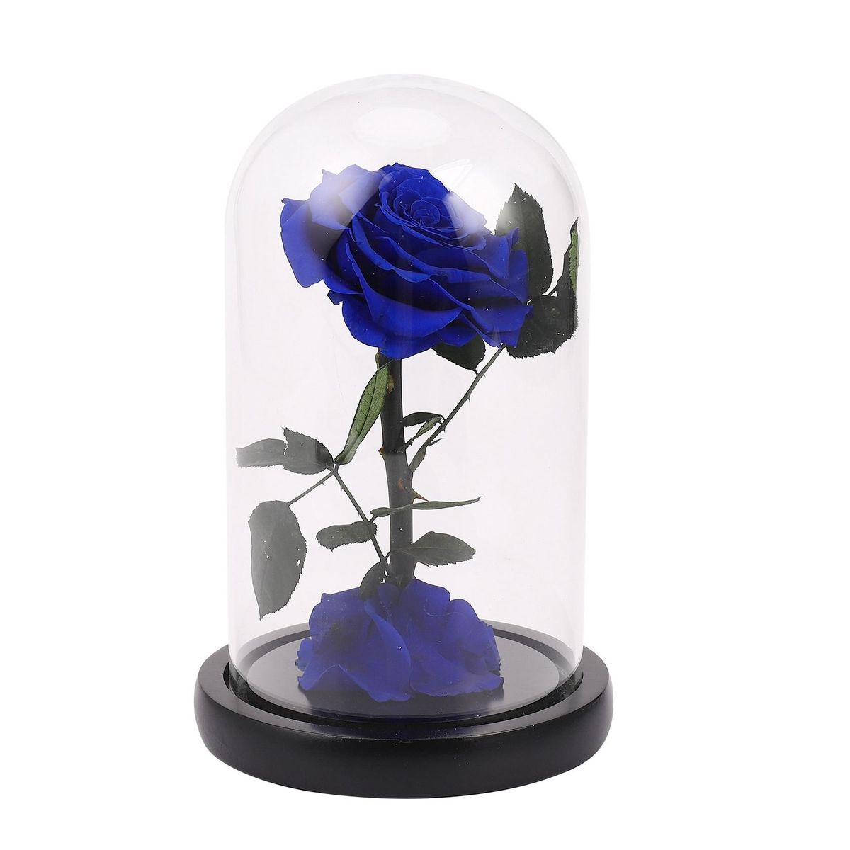 Glass Cover Fresh Preserved Rose Flower Barbed Rose Flores