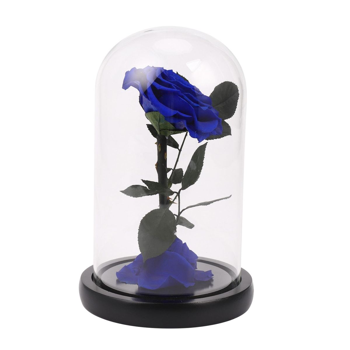 Glass Cover Fresh Preserved Rose Flower Barbed Rose Flores