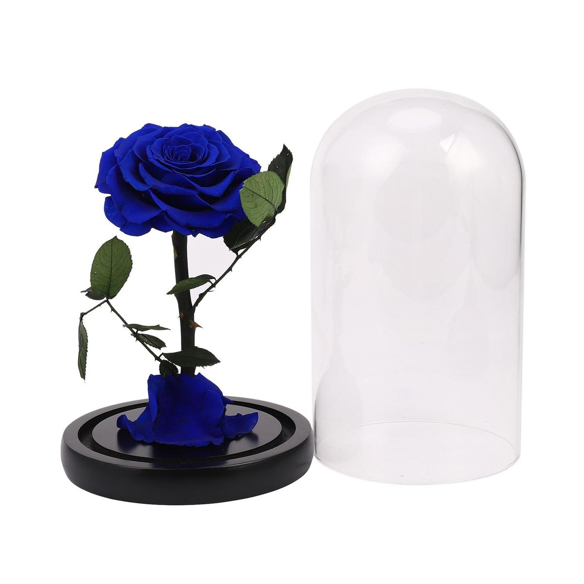 Glass Cover Fresh Preserved Rose Flower Barbed Rose Flores