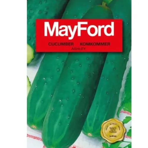 Cucumber Seeds - Ashley - 5 Grams