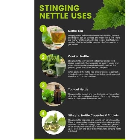 Stinging Nettle Leaves -100g