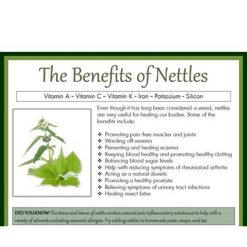 Stinging Nettle Leaves -100g