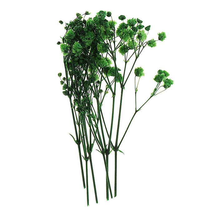 Real Dried Pressed Flower Leaves Bouquet Decorative - Green
