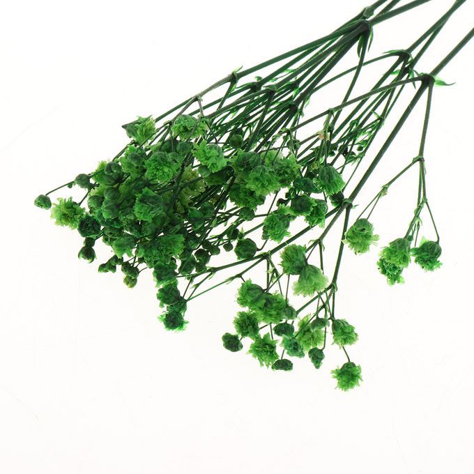 Real Dried Pressed Flower Leaves Bouquet Decorative - Green