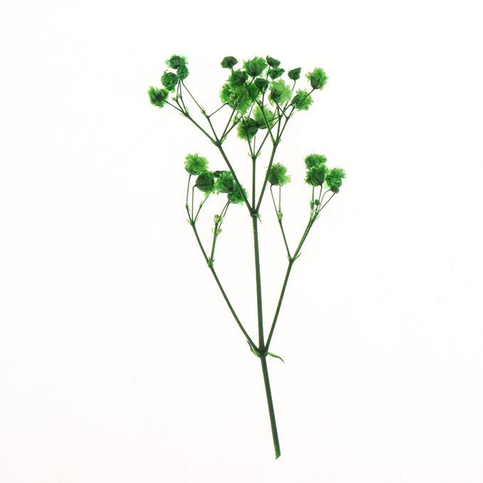 Real Dried Pressed Flower Leaves Bouquet Decorative - Green