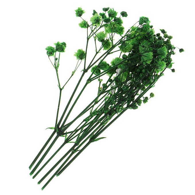 Real Dried Pressed Flower Leaves Bouquet Decorative - Green