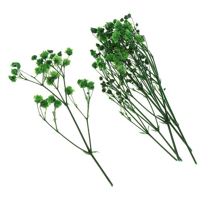 Real Dried Pressed Flower Leaves Bouquet Decorative - Green