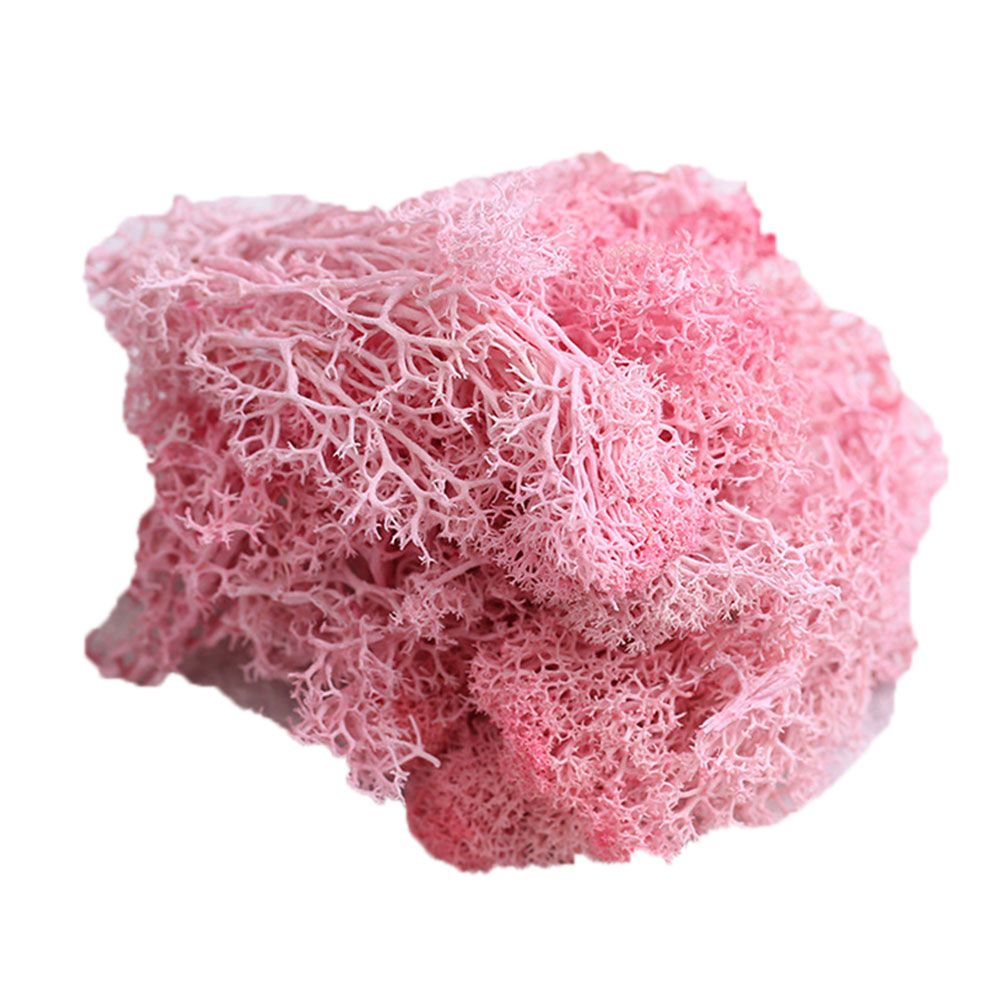 Artificial Plant Preserved Flower Reindeer Moss-Light Pink