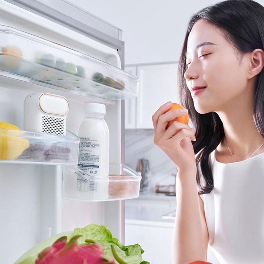 Refrigerator Deodorizing Sterilizer Household Kitchen