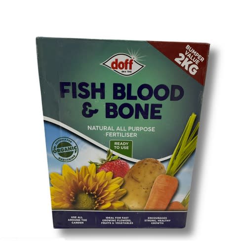 Fish Blood And Bone
