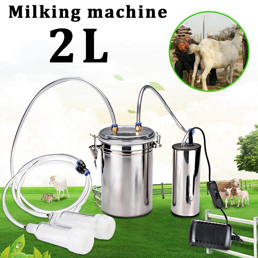 2L 1/2 Gal 2 Teats Goat Milker Electric Sheep Milking Machine Stainless Steel American Rules