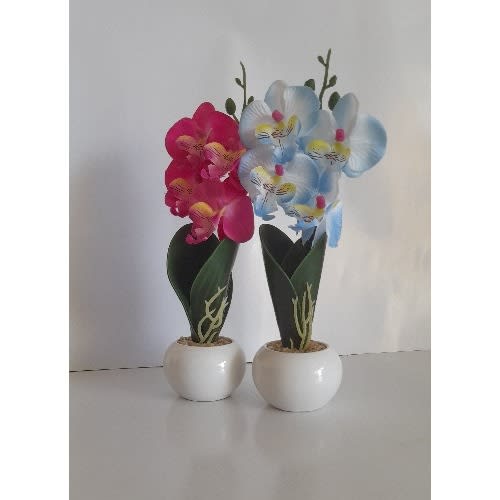 2 In 1 Small Potted Plant