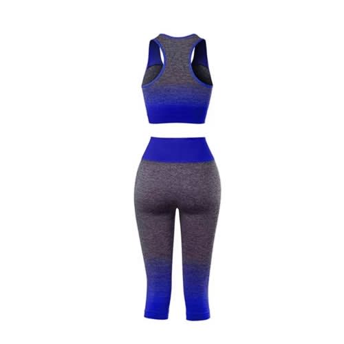 Women's Seamless Yoga Fitness - 2 In 1 Set
