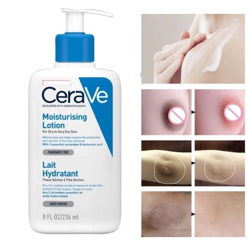 Daily Moisturizing Lotion Face And Body Lotion- 236ml
