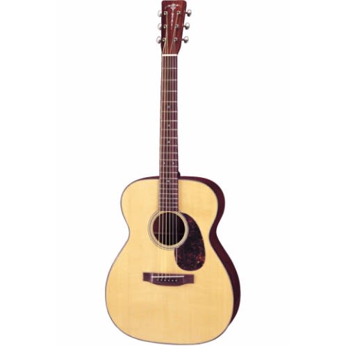 SD2-NA-SX Acoustic Guitar