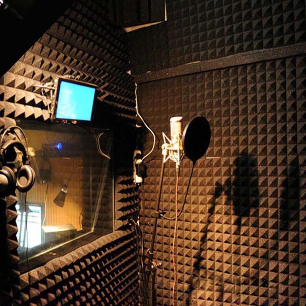 25X25X5cm Acoustic Foam Panel Sound Stop Absorption Sponge