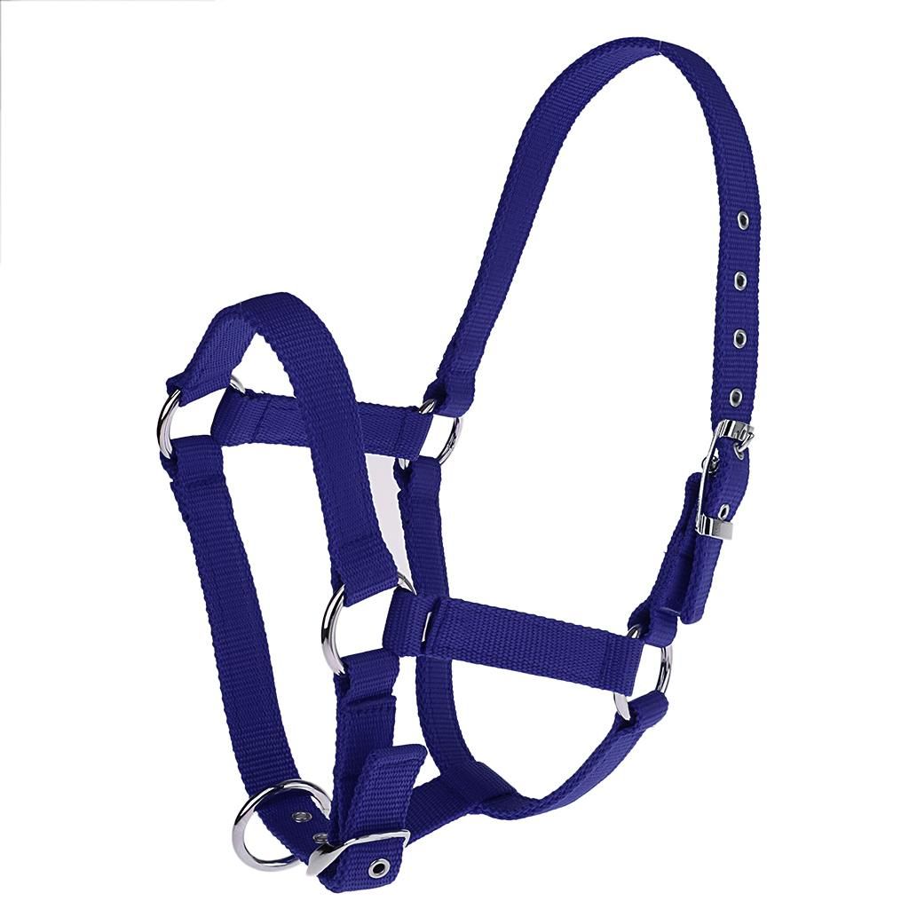 Outdoor Nylon Webbing Equestrian Western Horse Halter Horse