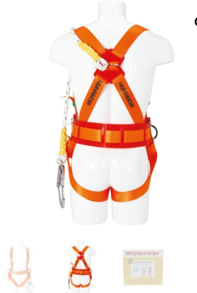 WORKMAN SAFETY HARNESS