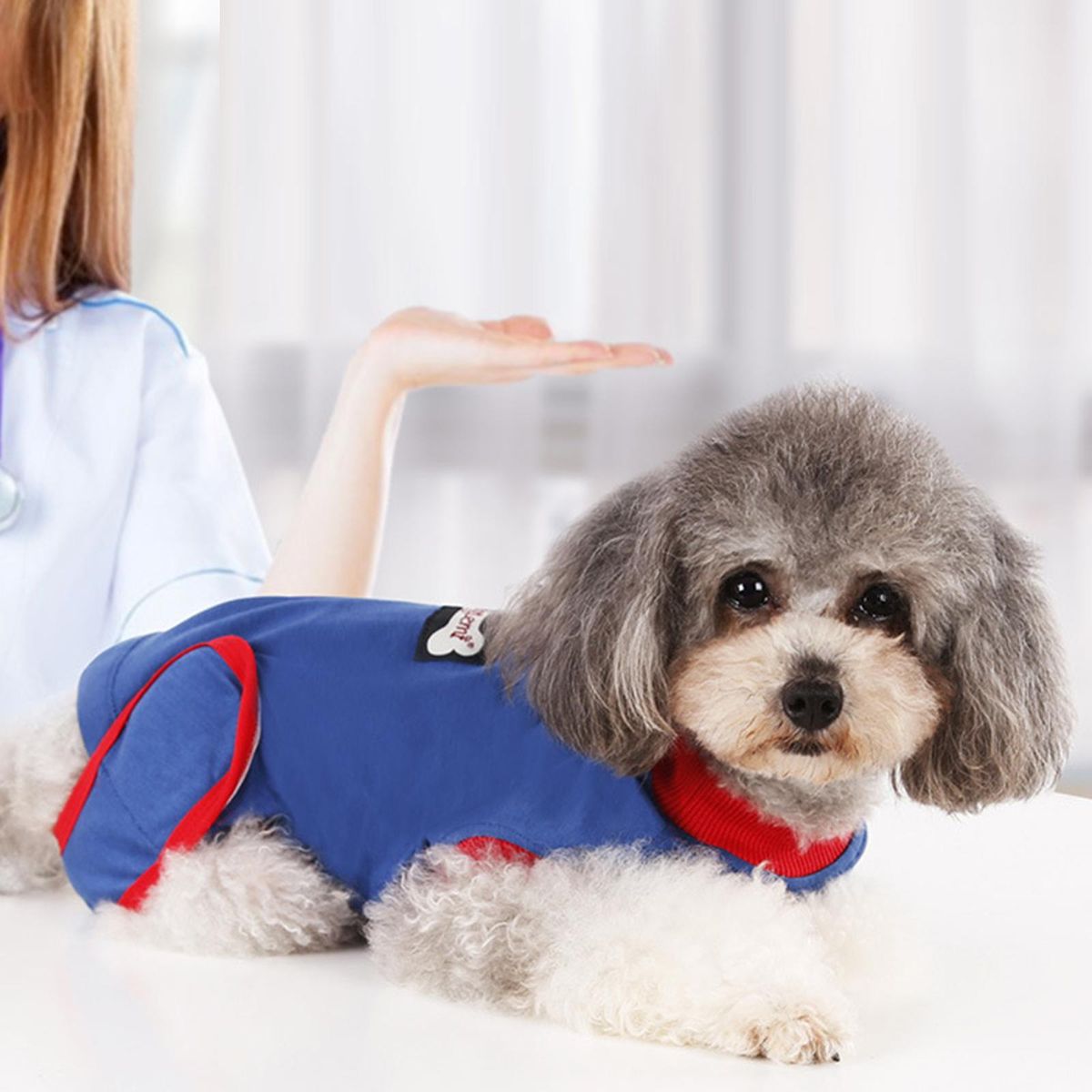 Recovery Suit For Dogs Cats After Surgery, Professional Pet Recovery M