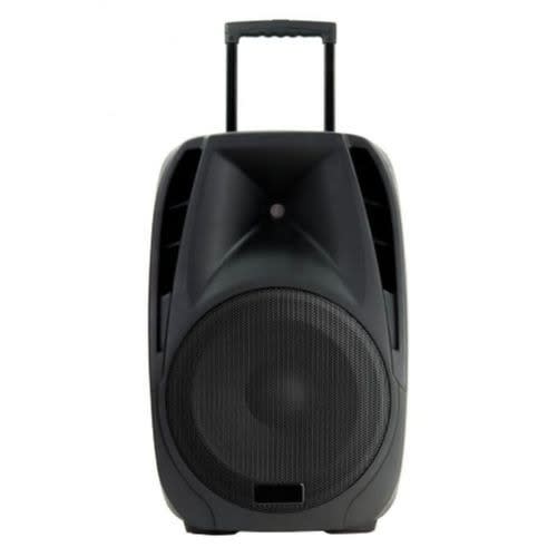 12 Public Address System With Wireless Microphone