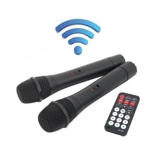 12 Public Address System With Wireless Microphone