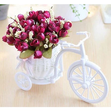 Mini Bicycle Flower Pot