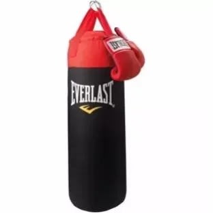 Everlast Punching Bag + Gloves