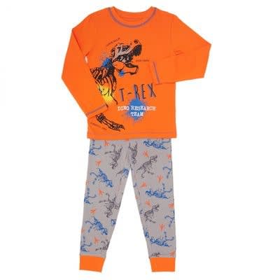 Boys Dinosaur Pyjamas