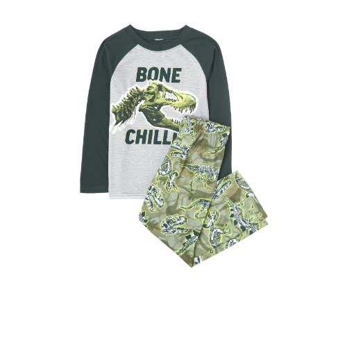 Boys Chilling Dinosaur Cotton Long Sleeve Pyjamas Sleepwear