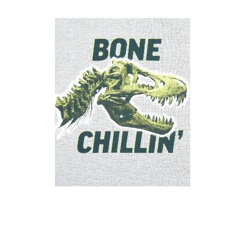Boys Chilling Dinosaur Cotton Long Sleeve Pyjamas Sleepwear