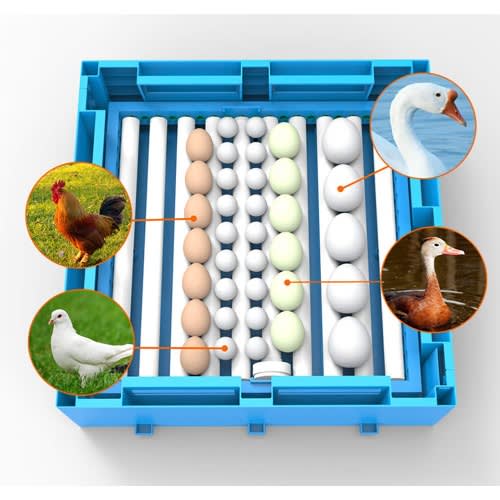 Dual Power 192 Eggs Incubator-12v/220v