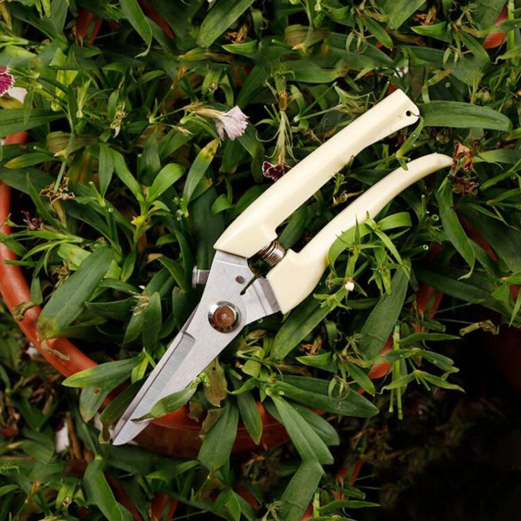 Garden Hand  Tool 2 PCS Garden Tools
