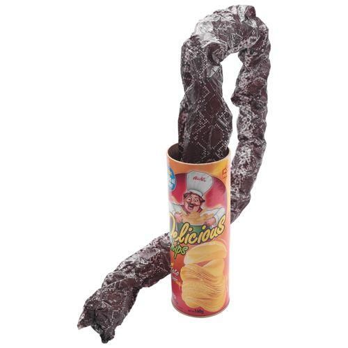 The Potato Chip Snake Can Jump Spring Snake Toy Gift April