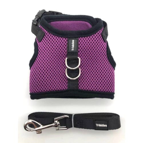 Air Mesh Harness With Leash Purple