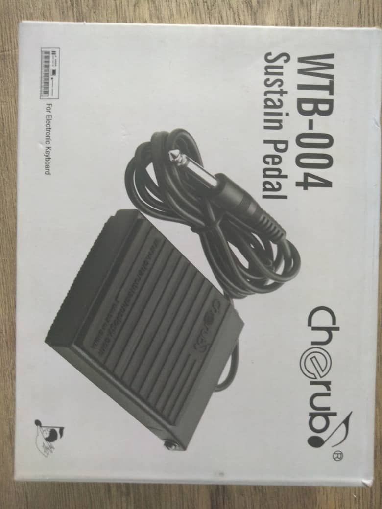 Small WTB-004 Sustain Pedal