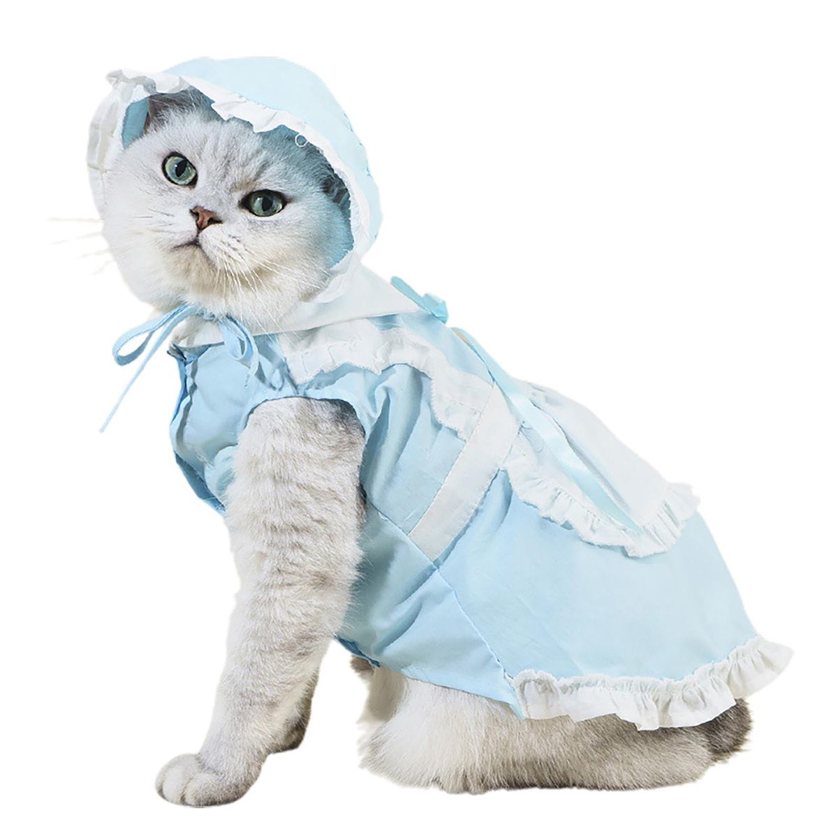 1 Set Cat Skirt Pet Dog Cat Maid Dress with Hat Blue