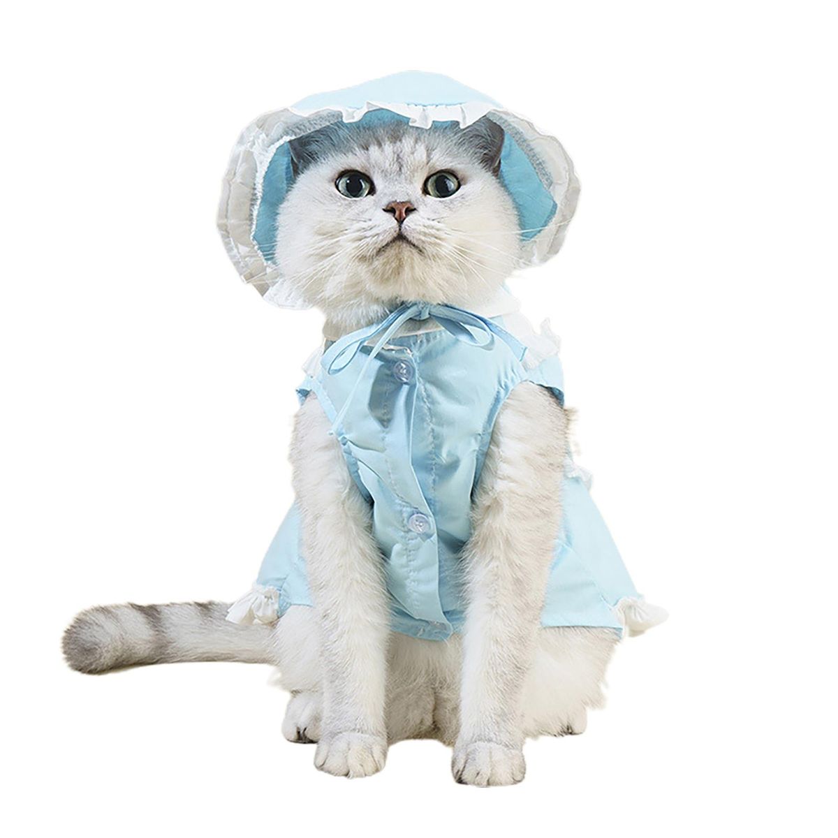 1 Set Cat Skirt Pet Dog Cat Maid Dress with Hat Blue