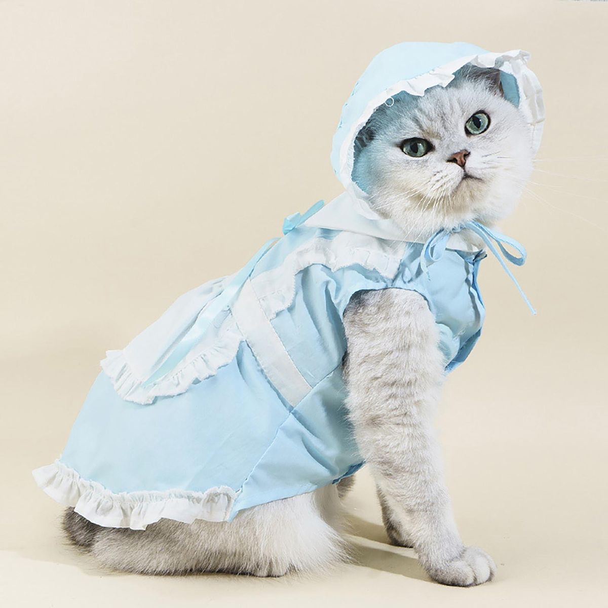 1 Set Cat Skirt Pet Dog Cat Maid Dress with Hat Blue