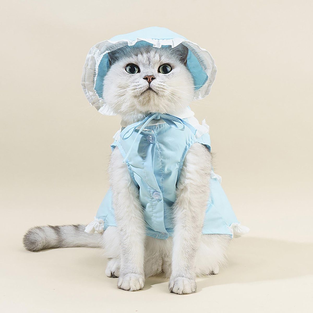 1 Set Cat Skirt Pet Dog Cat Maid Dress with Hat Blue